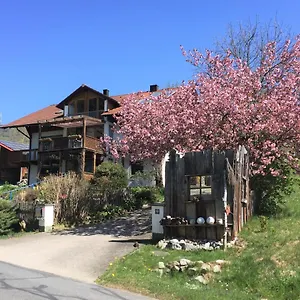 Gammer Apartment